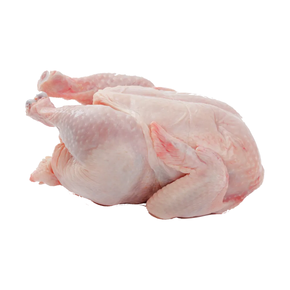 Chicken Meat